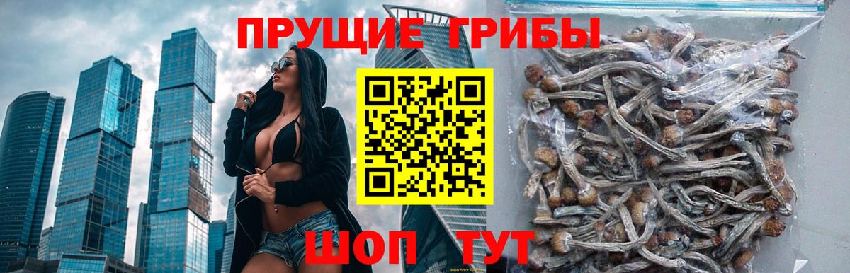 Галлюциногенные грибы Cubensis Ленинск-Кузнецкий